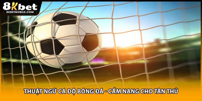 Thuật Ngữ Cá Độ Bóng Đá - Cẩm Nang Cho Tân Thủ